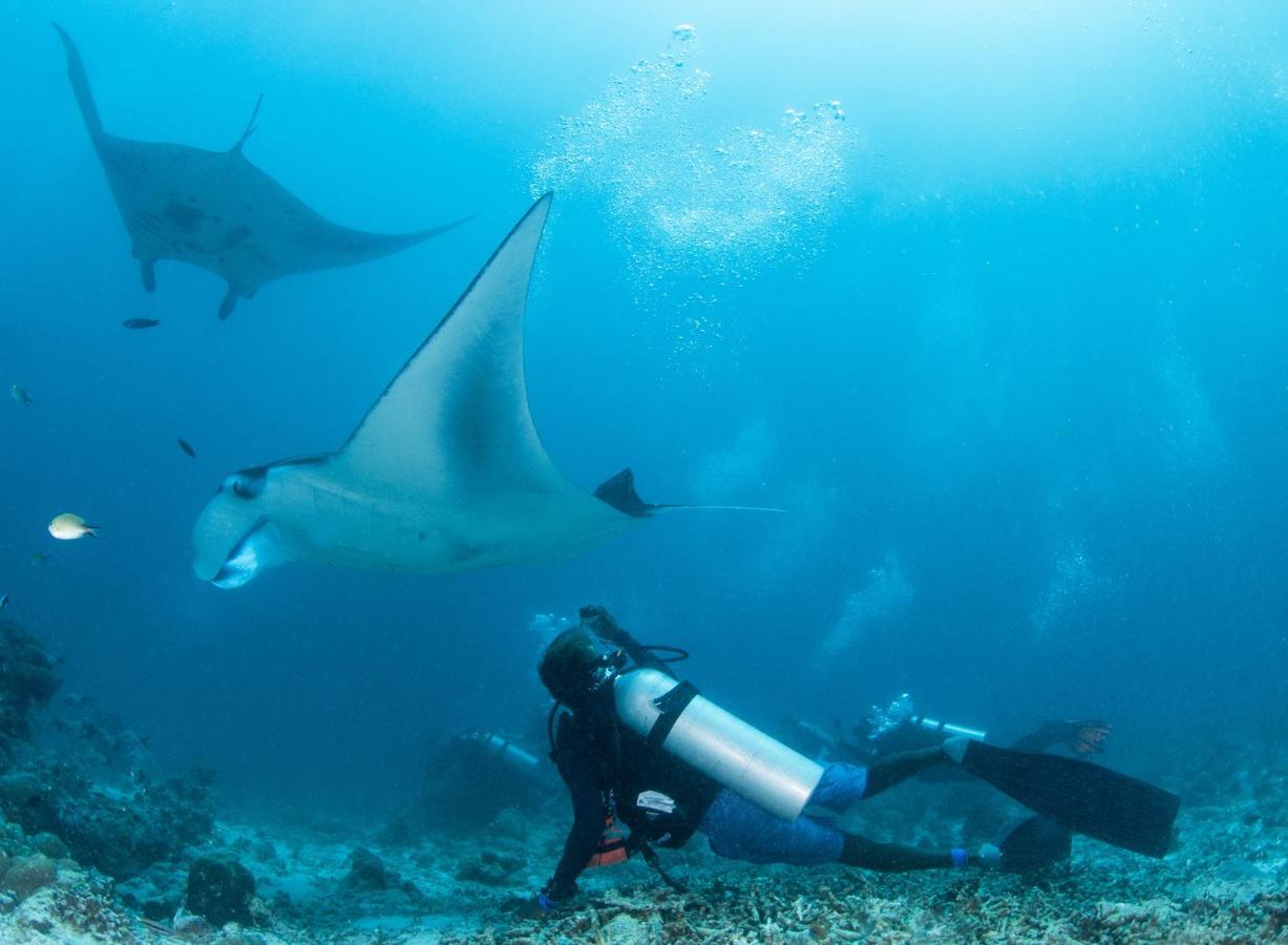 Hôtel South Ari Dive Center à Dhangethi Extérieur photo