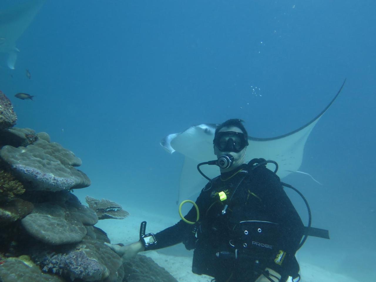 Hôtel South Ari Dive Center à Dhangethi Extérieur photo