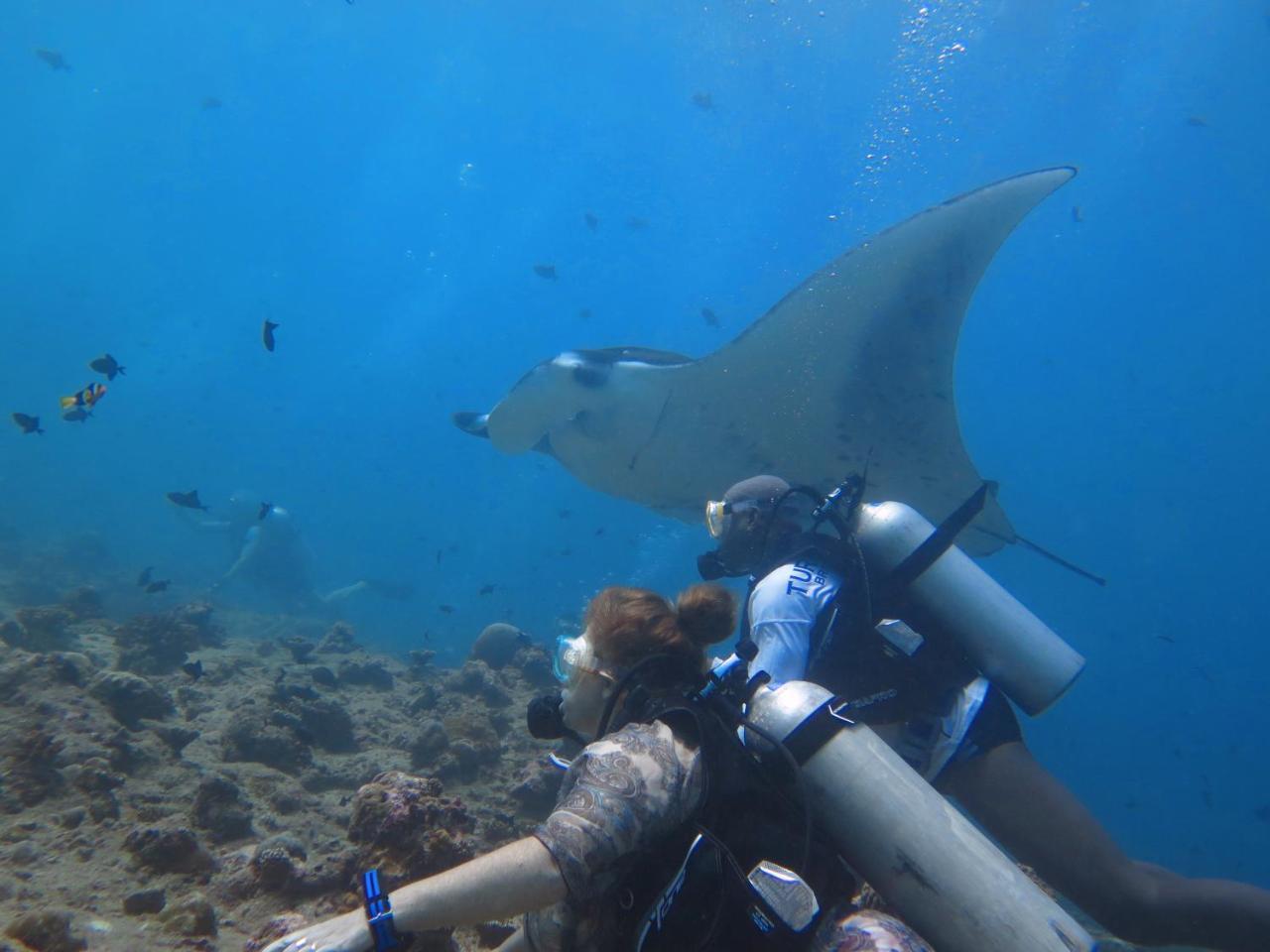 Hôtel South Ari Dive Center à Dhangethi Extérieur photo