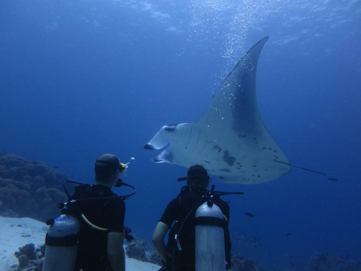 Hôtel South Ari Dive Center à Dhangethi Extérieur photo